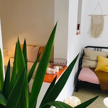 Mignon, Plein Centre ביאריץ