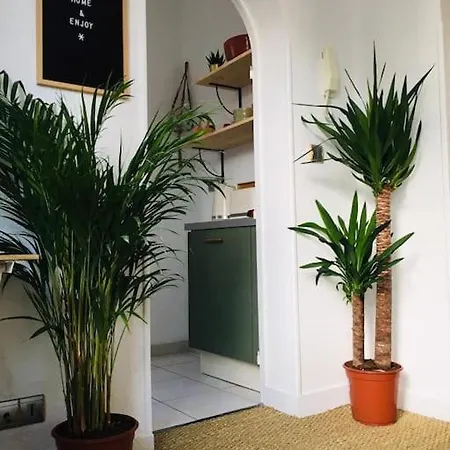 Mignon, Plein Centre Apartamento