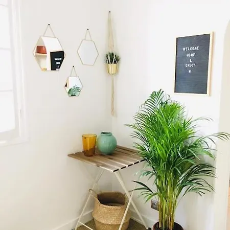 Mignon, Plein Centre ביאריץ